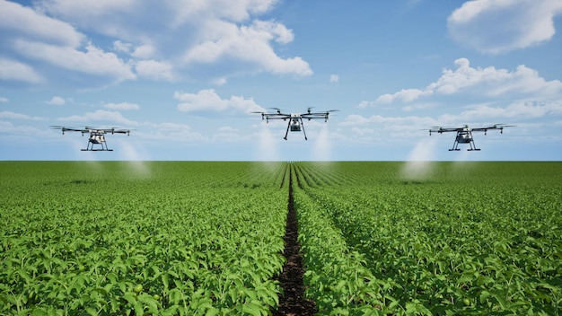 agriculture drone fly to sprayed fertilizer on the tomato fields