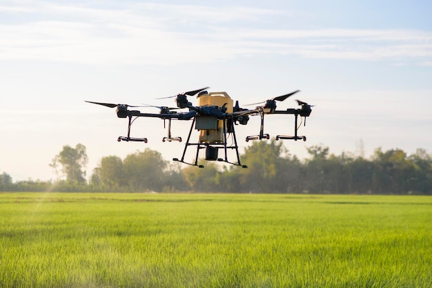 Agriculture drone flying and spraying fertilizer and pesticide\
over farmland