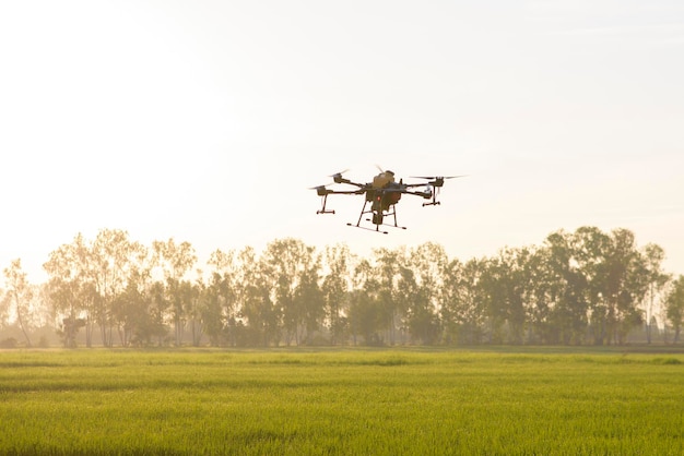 Сельскохозяйственный дрон летает и распыляет удобрения и пестициды над сельскохозяйственными угодьями