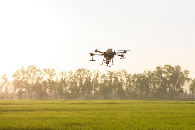 Agriculture drone flying and spraying fertilizer and pesticide
over farmland