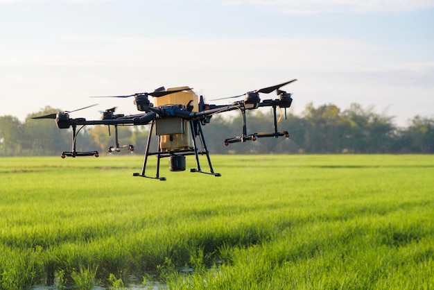 Agriculture drone flying and spraying fertilizer and pesticide\
over farmland