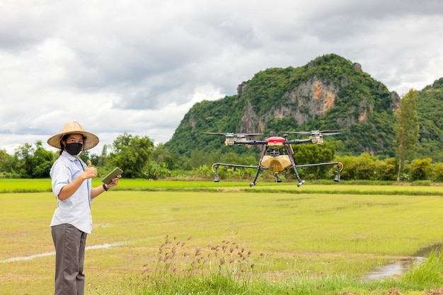 La donna dell'agricoltore agricolo tiene il tablet per visualizzare un rapporto sul campo dell'agricoltura del riso, concetto di tecnologia agricola. il drone agricolo vola al fertilizzante spruzzato sulle risaie.