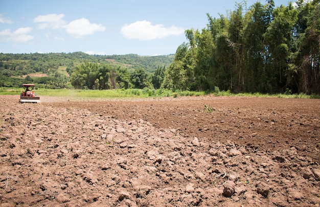 agriculture field.