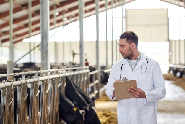 Foto agricoltura, industria, agricoltura, persone e idea di allevamento - veterinario o medico con cartellino e gregge di mucche nel fienile della fattoria lattiero-casearia