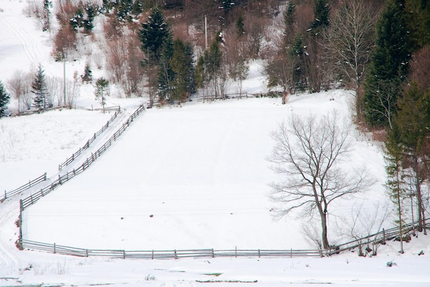 Agriculture landscape