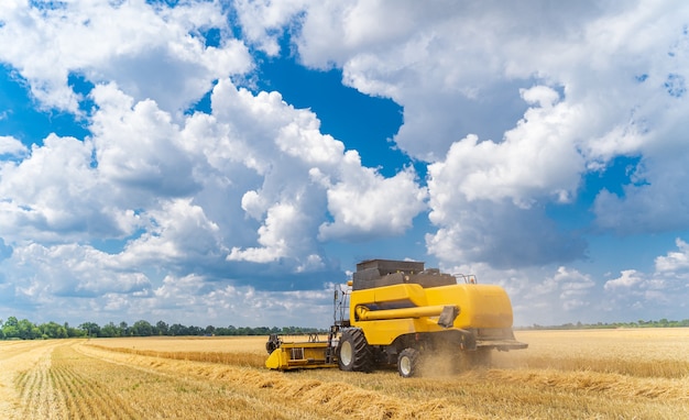 Agriculture machine harvesting crop in fields. Special technic in action.