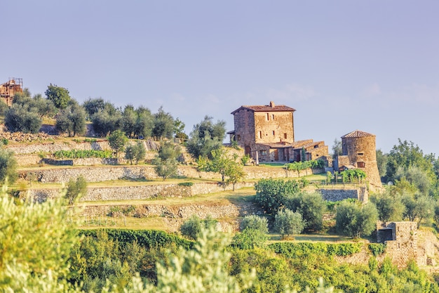 Agriculture near montalcino