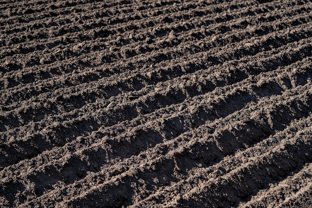 Foto la fotografia agricola ha arato la terra all'inizio della primavera in polonia, giornata di sole, primo piano modello di arato