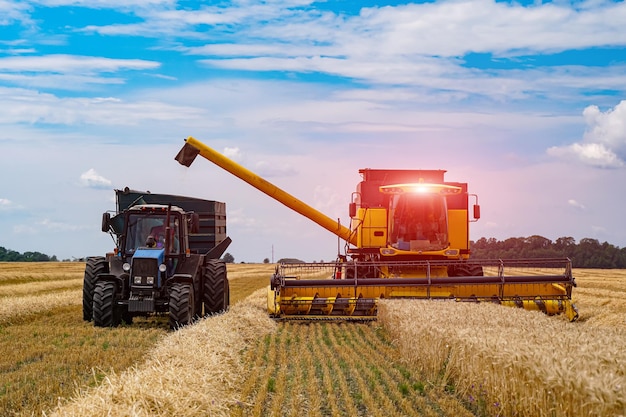 Photo agriculture process in wheat field during the sunny day with blue sky. heavy technics. rural landscape. harvest time