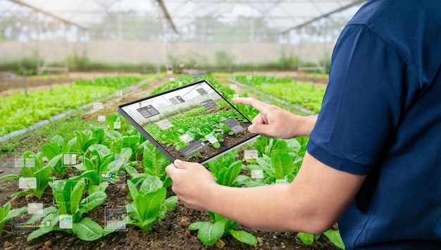 agriculture technology concept with agricultural engineer work with digital tablet in farm