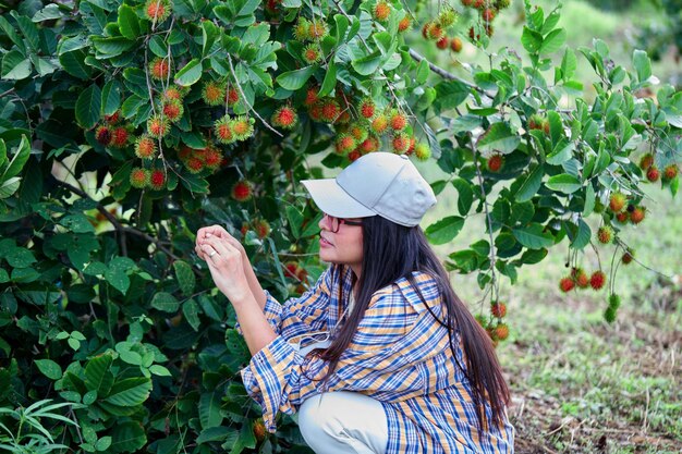 Photo agriculture woman sitting under rambutan tree in the orchard