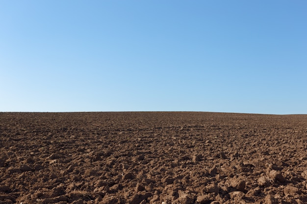 Foto agricoltura