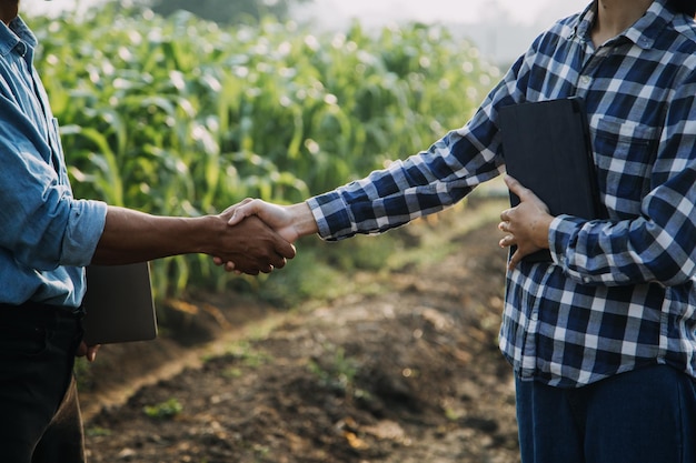 Foto l'agricoltore utilizza la rete di dati di base in internet dal cellulare per convalidare il test e selezionare il nuovo metodo di coltivazione giovani agricoltori e coltivatori di tabacco