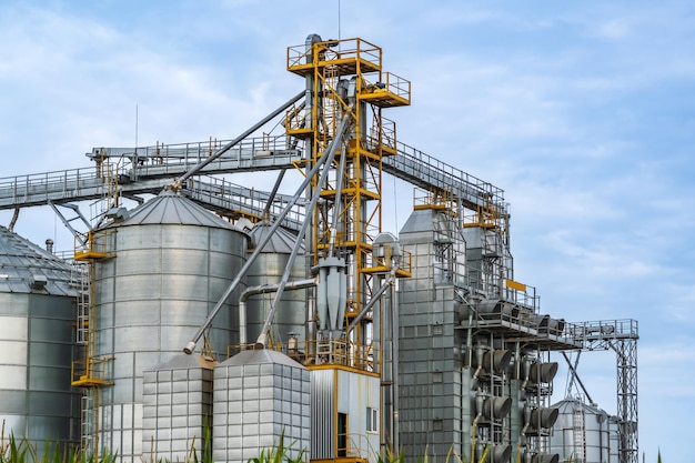 Agro silo's graanschuur lift met zaden reinigingslijn op agroprocessing fabriek voor verwerking drogen reiniging en opslag van landbouwproducten in rogge maïs of tarweveld