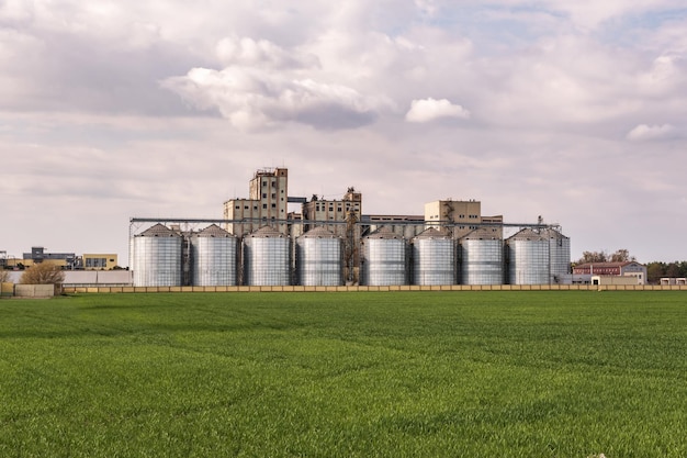 Agro silos granary elevator with seeds cleaning line on agroprocessing manufacturing plant for processing drying cleaning and storage of agricultural products flour cereals and grain