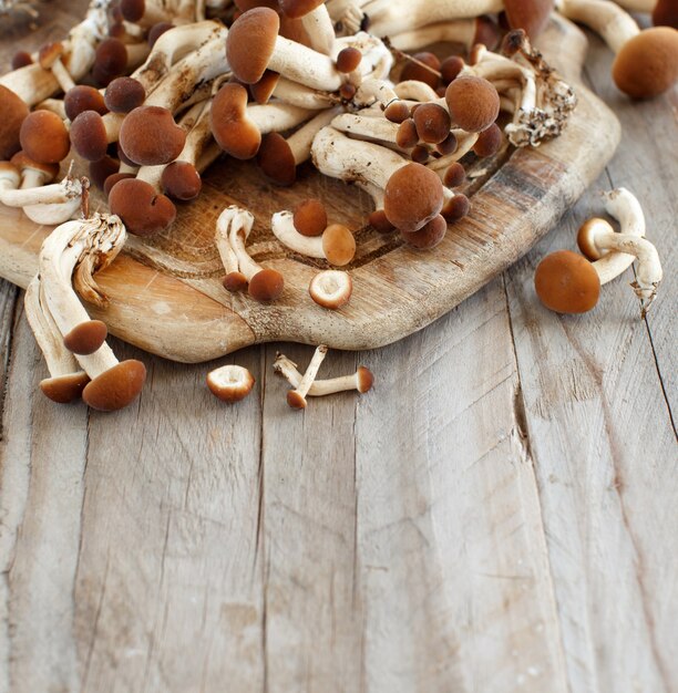 Agrocybe aegerita paddestoelen (Pioppino) op een houten tafel