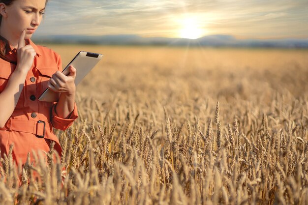 Agronomist checking the field of cereals and sends data to the cloud from the tablet