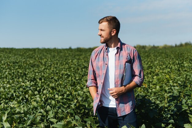 Agronomist or farmer examining crop of soybeans field