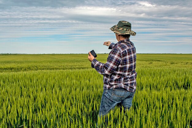 An agronomist or farmer in a field of grain that he controls