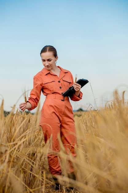 Agronomist farmer with digital tablet computer in wheat field using apps and internet Smart farming