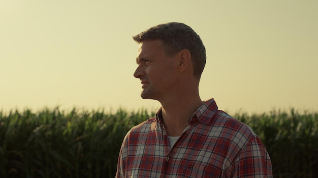 Agronomist inspecting harvesting field in sunlight closeup Farmer watch organic