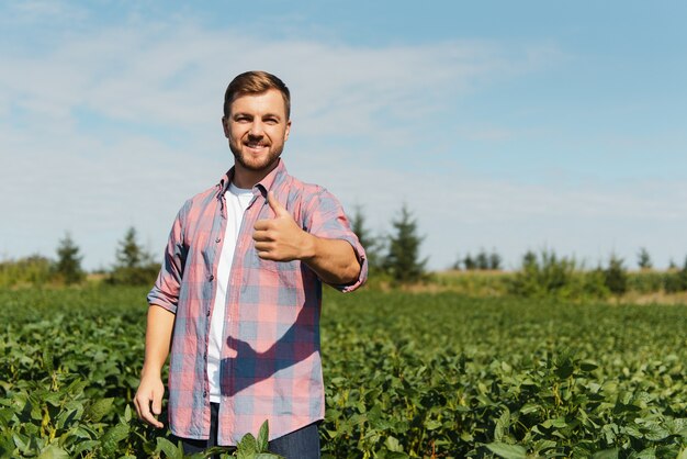 Agronomist inspecting soya bean crops growing in the farm field. Agriculture production concept. young agronomist examines soybean crop on field in summer. Farmer on soybean field