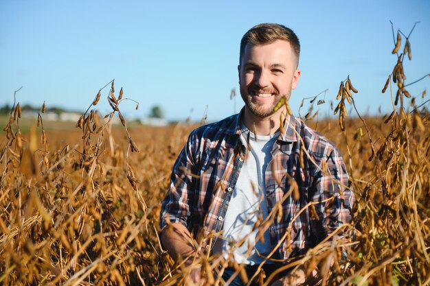 L'agronomo ispeziona il raccolto di soia in campo agricolo - concetto agro - agricoltore nella piantagione di soia in fattoria.