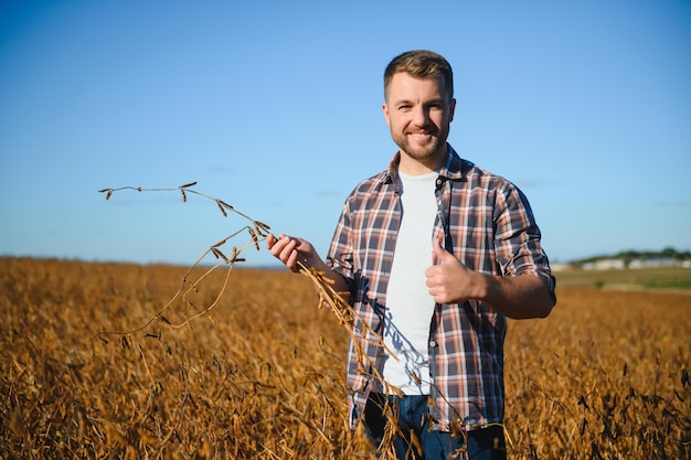 Агроном проверяет урожай сои на сельскохозяйственном поле - концепция Agro - фермер на плантации сои на ферме.