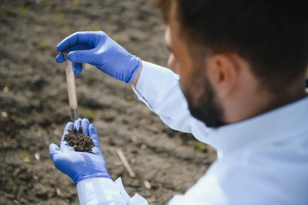 Фото Агроном изучает образцы почвы в поле