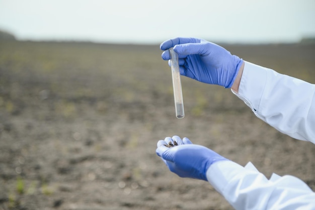 Foto agronomo che studia campioni di suolo in campo