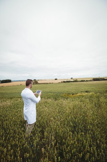 Foto agronomo che utilizza la tavoletta digitale sul campo