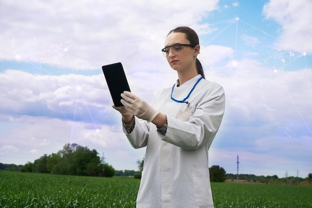 Agronomist using tablet and technology in agricultural corn field The farmer walks through the