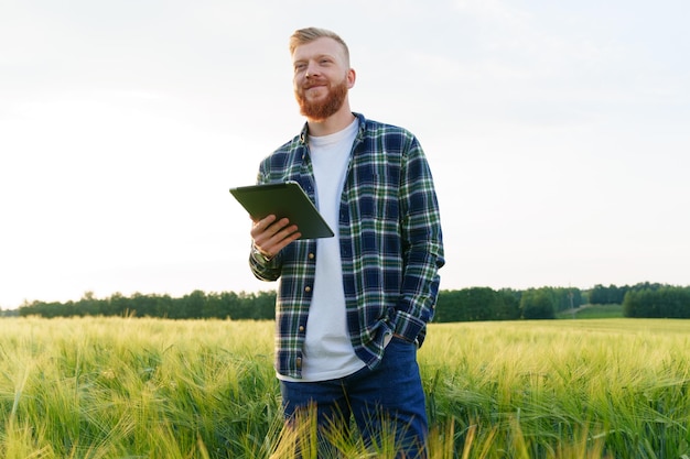 an agronomist with a tablet is standing in the field checking the quality of the future harvest preparing for the food crisis