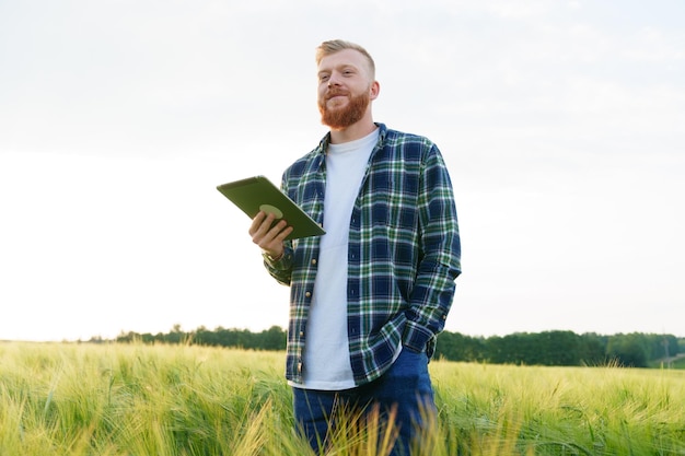 an agronomist with a tablet is standing in the field checking the quality of the future harvest preparing for the food crisis