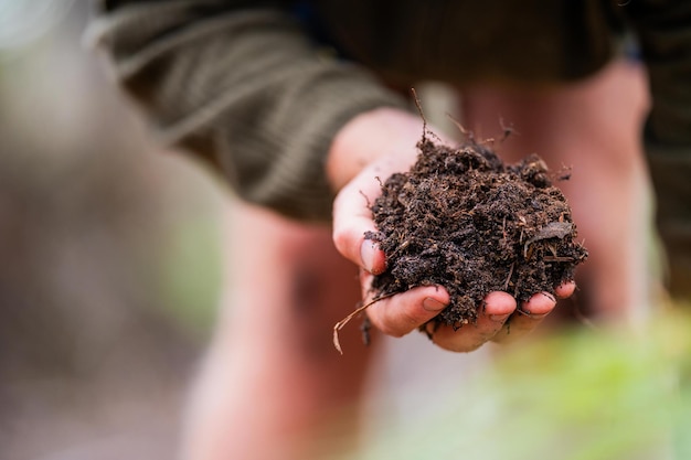 agronomiston a farm practicing agronomy holding soil doing soil tests in her home laboratory Looking at soil life and health