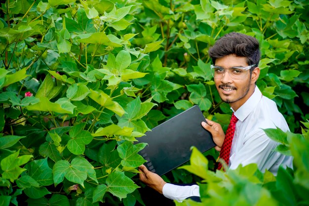 Agronoom bij Cotton field, met wat informatie op tabblad