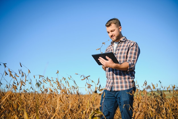 Agronoom die sojaboongewassen inspecteert die op het landbouwbedrijfgebied groeien. Landbouw productieconcept. jonge agronoom onderzoekt sojabonen op het veld in de zomer. Boer op sojabonenveld