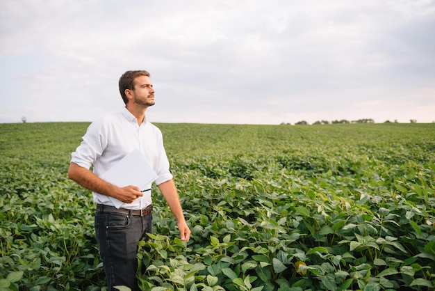 Agronoom die sojaboongewassen inspecteert die op het landbouwbedrijfgebied groeien. Landbouw productieconcept. jonge agronoom onderzoekt sojabonen op het veld in de zomer. Boer op sojabonenveld