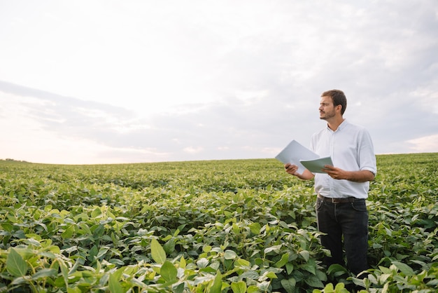 Agronoom die sojaboongewassen inspecteert die op het landbouwbedrijfgebied groeien. Landbouw productieconcept. jonge agronoom onderzoekt sojabonen op het veld in de zomer. Boer op sojabonenveld