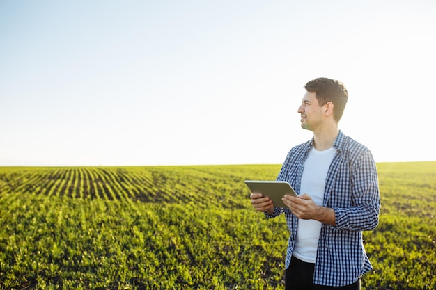 Agronoom staat in het jonge groene tarweveld met de tablet in zijn handen en stuurt grove voortgangsgegevens naar de server voor toekomstige analyse. lente zaaien concept.