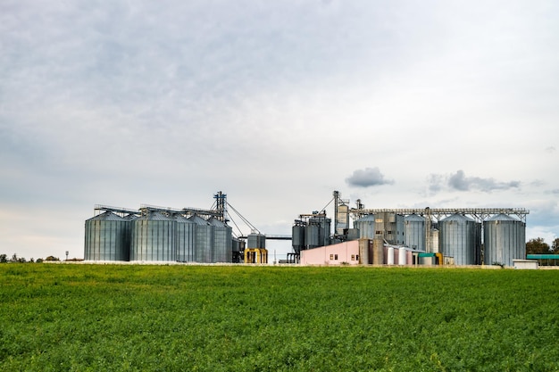 Impianti di agrolavorazione e produzione per la lavorazione e silos d'argento per asciugatura pulitura e stoccaggio di prodotti agricoli farina cereali e grano elevatore per granaio
