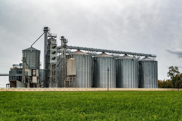 Impianti di agrolavorazione e produzione per la lavorazione e silos d'argento per asciugatura pulitura e stoccaggio di prodotti agricoli farina cereali e grano elevatore per granaio