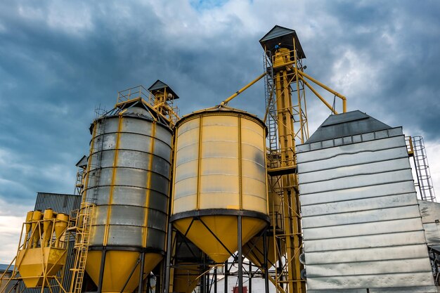 Agroprocessing plant for processing and silos for drying cleaning and storage of agricultural products flour cereals and grain