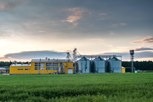 Agroprocessing plant for processing and silos for drying cleaning and storage of agricultural products flour cereals and grain