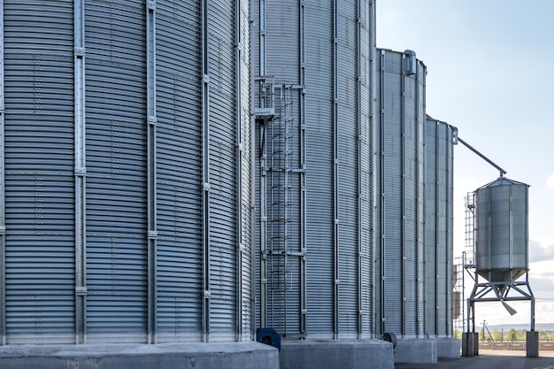 Agroverwerkings- en productiefabriek voor verwerking en zilversilo's voor het drogen van reiniging en opslag van landbouwproducten meel granen en graan Graanschuurlift