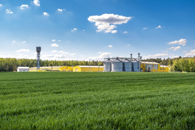 Foto agroverwerkings- en productiefabriek voor verwerking en zilversilo's voor het drogen van reiniging en opslag van landbouwproducten meel granen en graan graanschuurlift