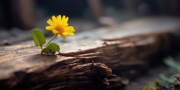 AI Gegenereerd AI Generatief Mooie gele bloem groeit uit een houten bloktafel