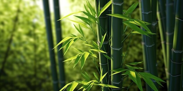 AI Generated AI Generative Eco green leaf plant tree bamboo Asian Japan Chinese culture tradition vibe Graphic Art