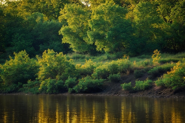 AI genereerde een illustratie van een prachtige weelderige groene weide naast een rustig water