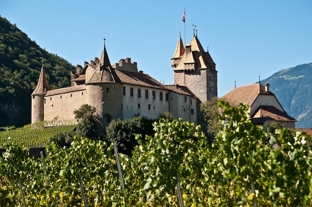 Aigle castle